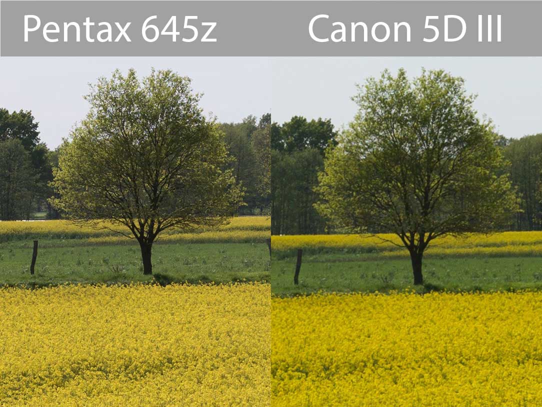 Ausschnittsvergleich (Pentax auf Canon-Maße reduziert)