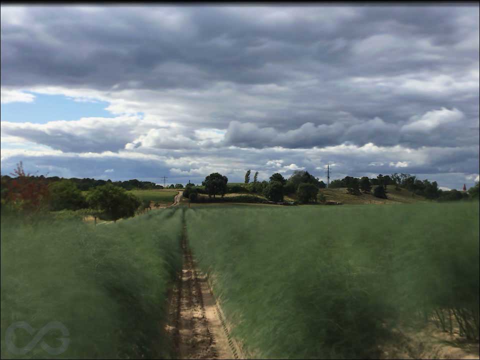 iPhone mit App Synthcam für Langzeitfreihandaufnahmen – Olaf Giermann