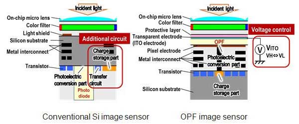 Panasonics organischer Sensor