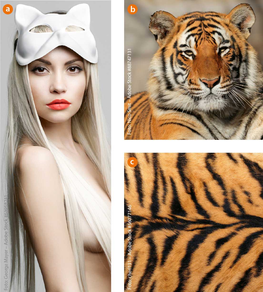 Photoshop-Montage: Einfach mal Pelz tragen