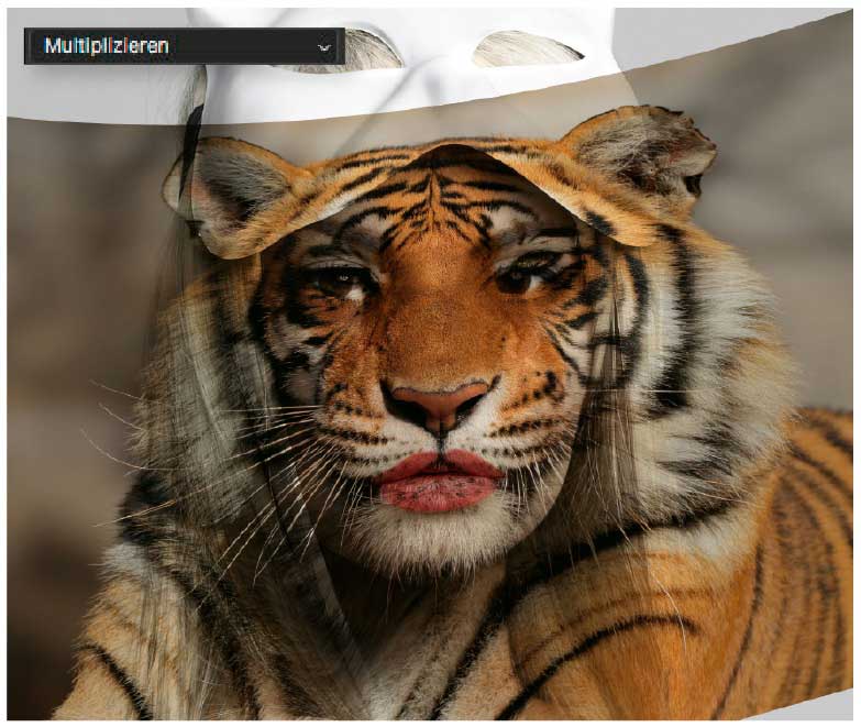 Photoshop-Montage: Einfach mal Pelz tragen