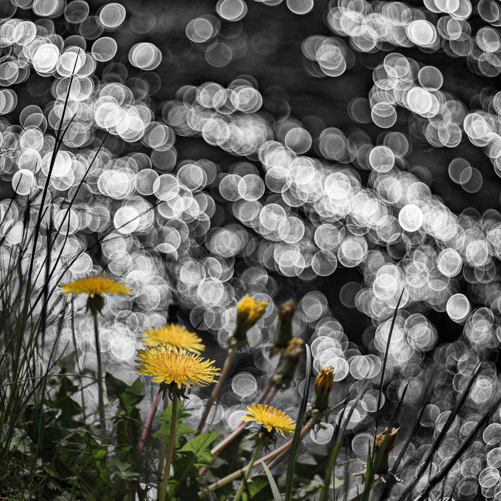 Altglas und Bokeh