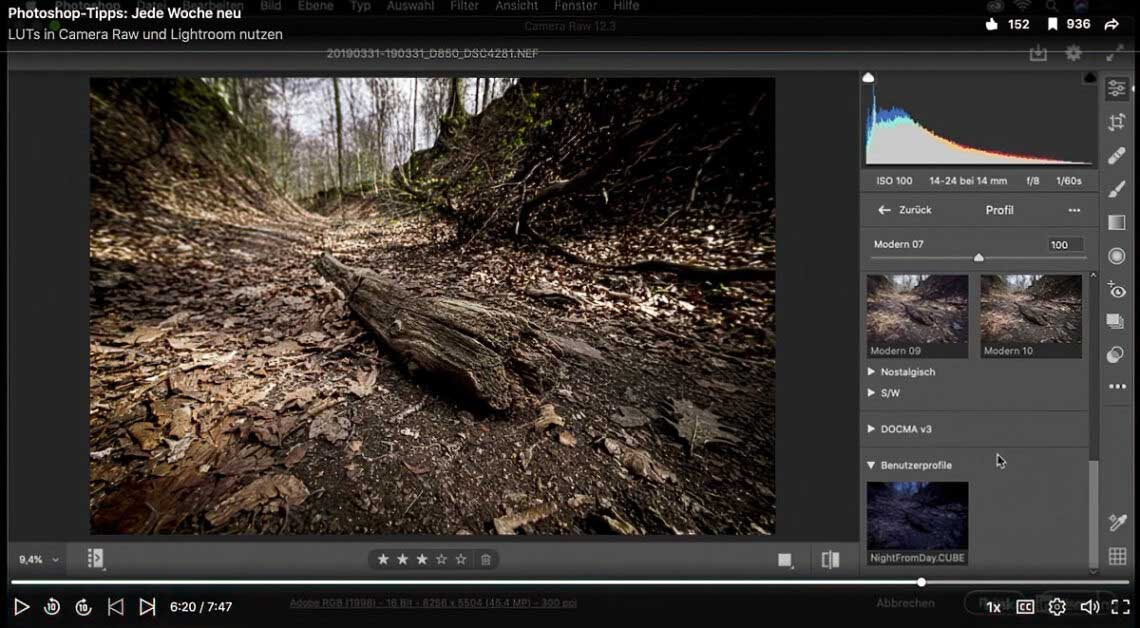 LUTs in Camera Raw und Lightroom verwenden