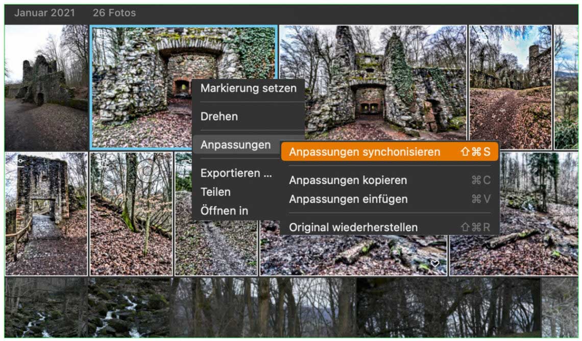 Einstellungen in Luminar AI übertragen