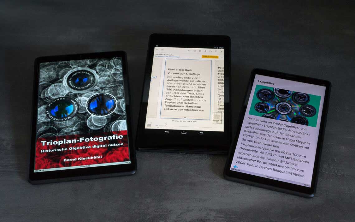 Ebook-Vorteile. Wer profitiert von Altglas-E-Books?