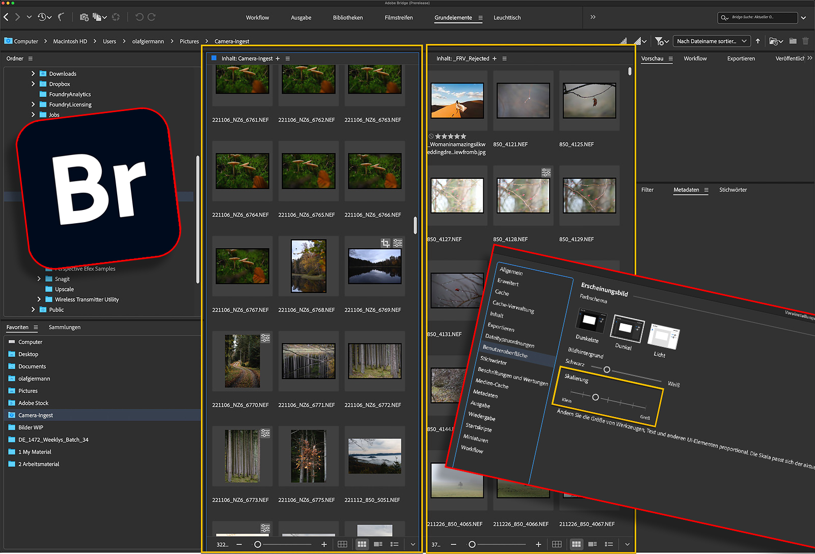 Adobe Bridge 2023 – Zwei Quicktipps