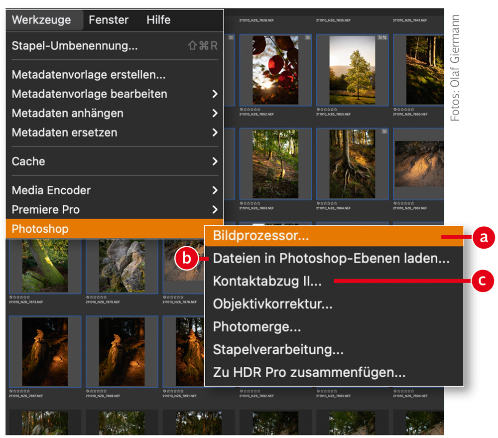 Adobe Bridge: Die Datei-Zentrale