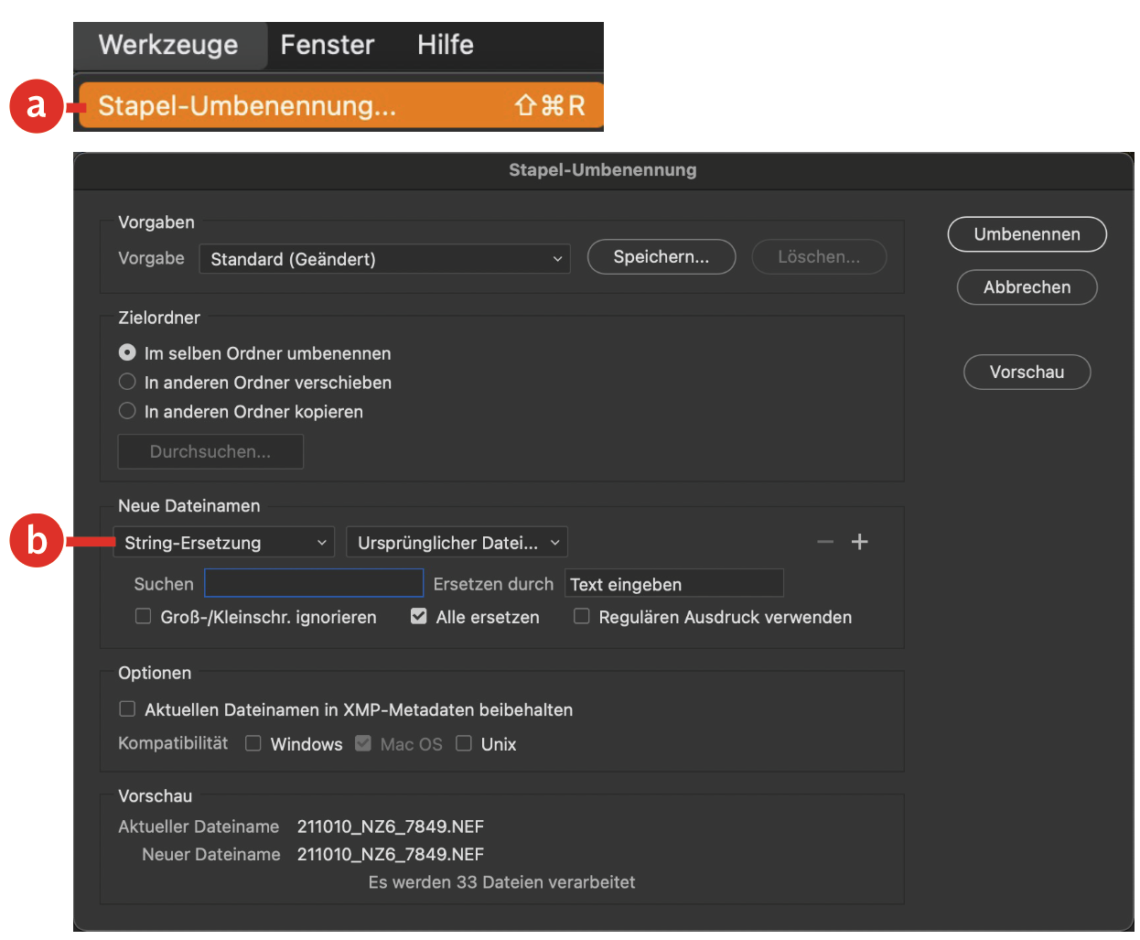 Dateien in Adobe Bridge umbenennen