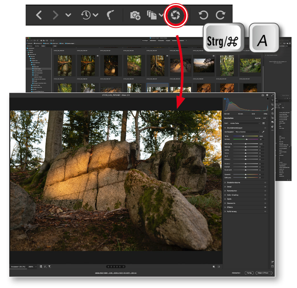 Dateien aus Bridge ohne Photoshop in Camera Raw öffnen