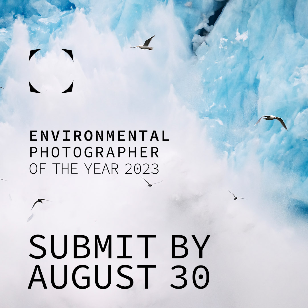 Fotowettbewerb Environmental Photographer of the Year 2023