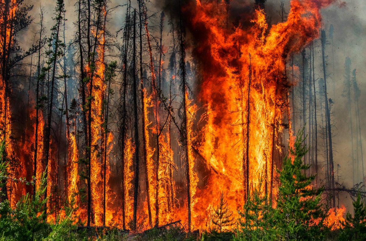 Brand #9. Kanada, 2015. Brände werden immer grösser, heftiger und unkontrollierbarer – und die so genannte «Brandsaison» ist in vielen Teilen der Welt nicht mehr nur ein sommerliches Ereignis, sondern ein ganzjähriges. Brandforscher untersuchen ständig 
die Dynamik von Hitze, Brennstoff und Wetter in der Hoffnung, eine immer unkontrollierbarer werdende Kraft besser zu verstehen. Diese Szene spielt sich bei einem Forschungsbrand in der Nähe von Fort Providence in den kanadischen Nordwest-Territorien ab. Agenda 2030: Klimawandel bekämpfen