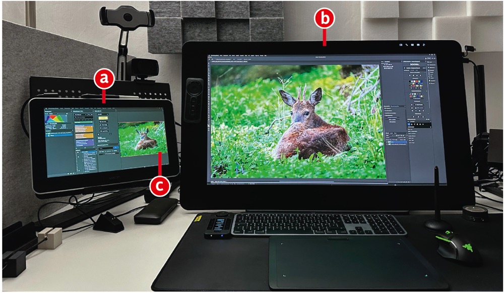 Photoshop mit mehreren Monitoren nutzen