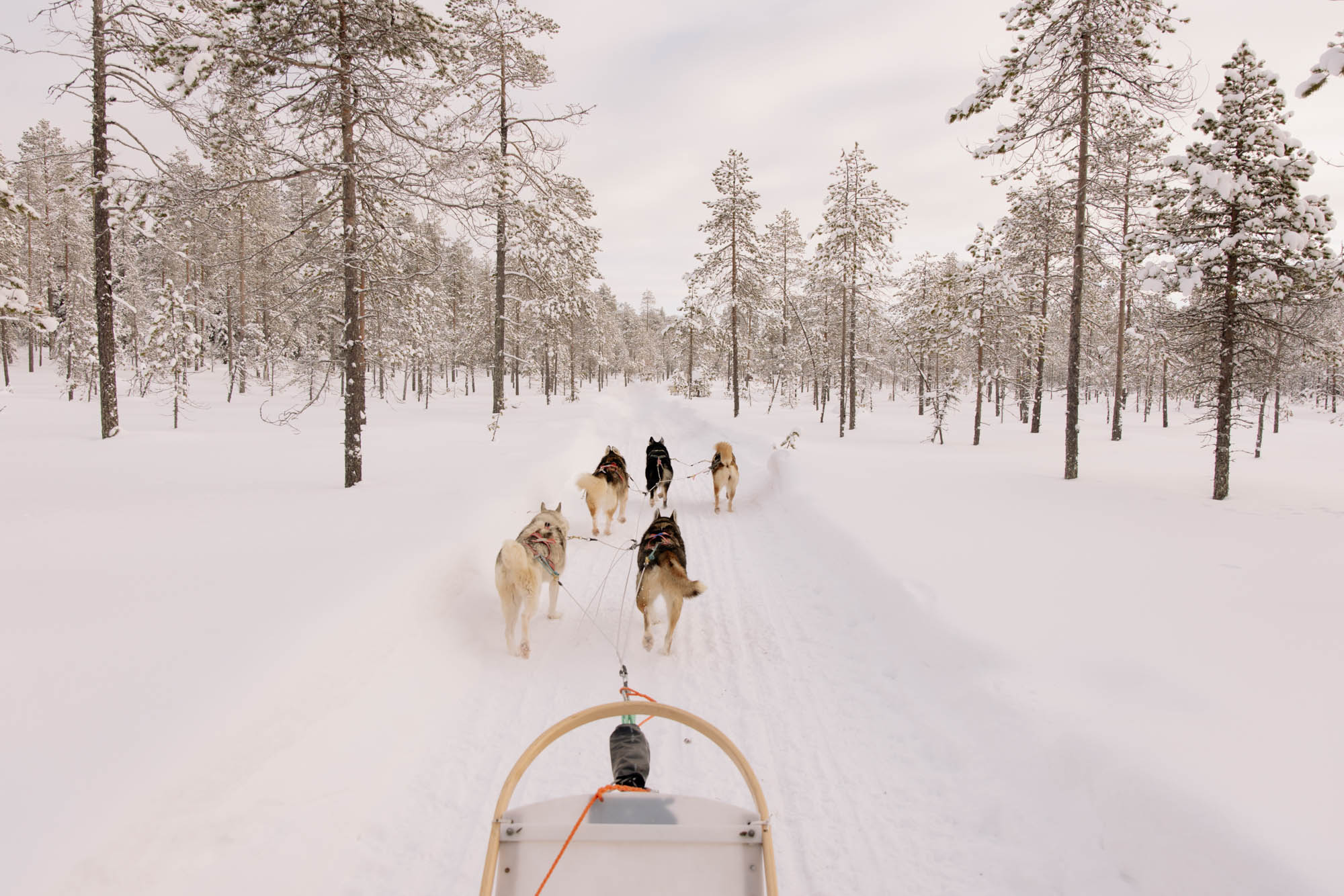 Wie fotografiert man Wintermotive, Florian Wenzel?