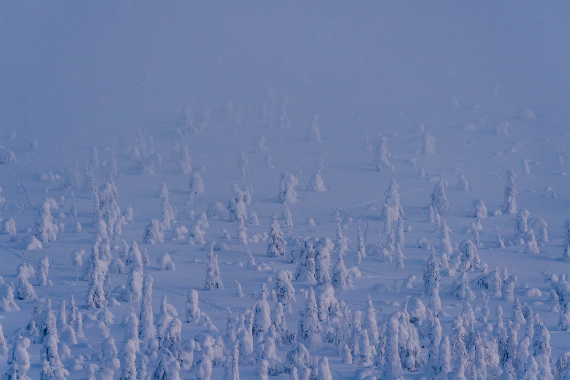 Wie fotografiert man Wintermotive, Florian Wenzel?