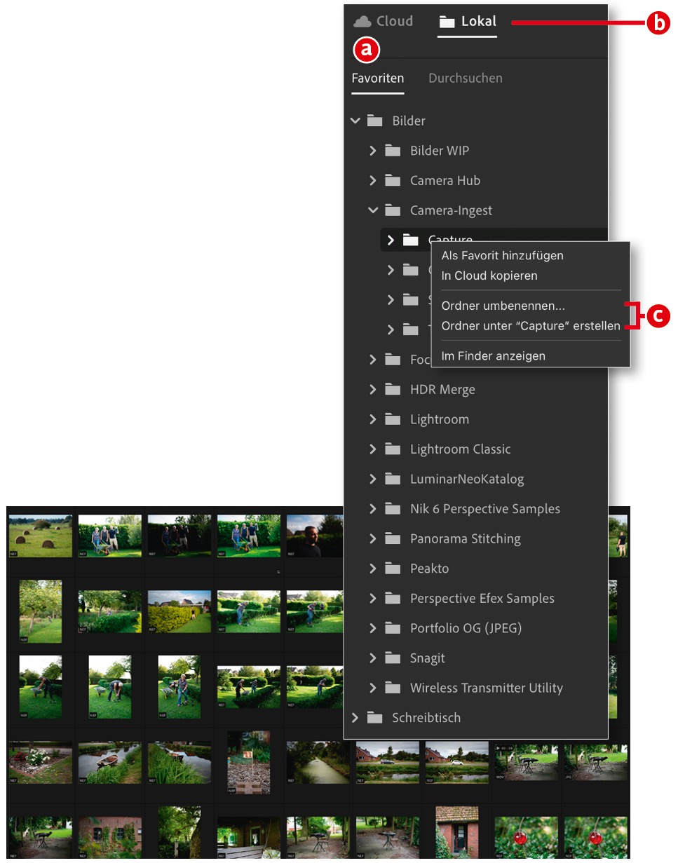 Lightroom ohne Cloud nutzen