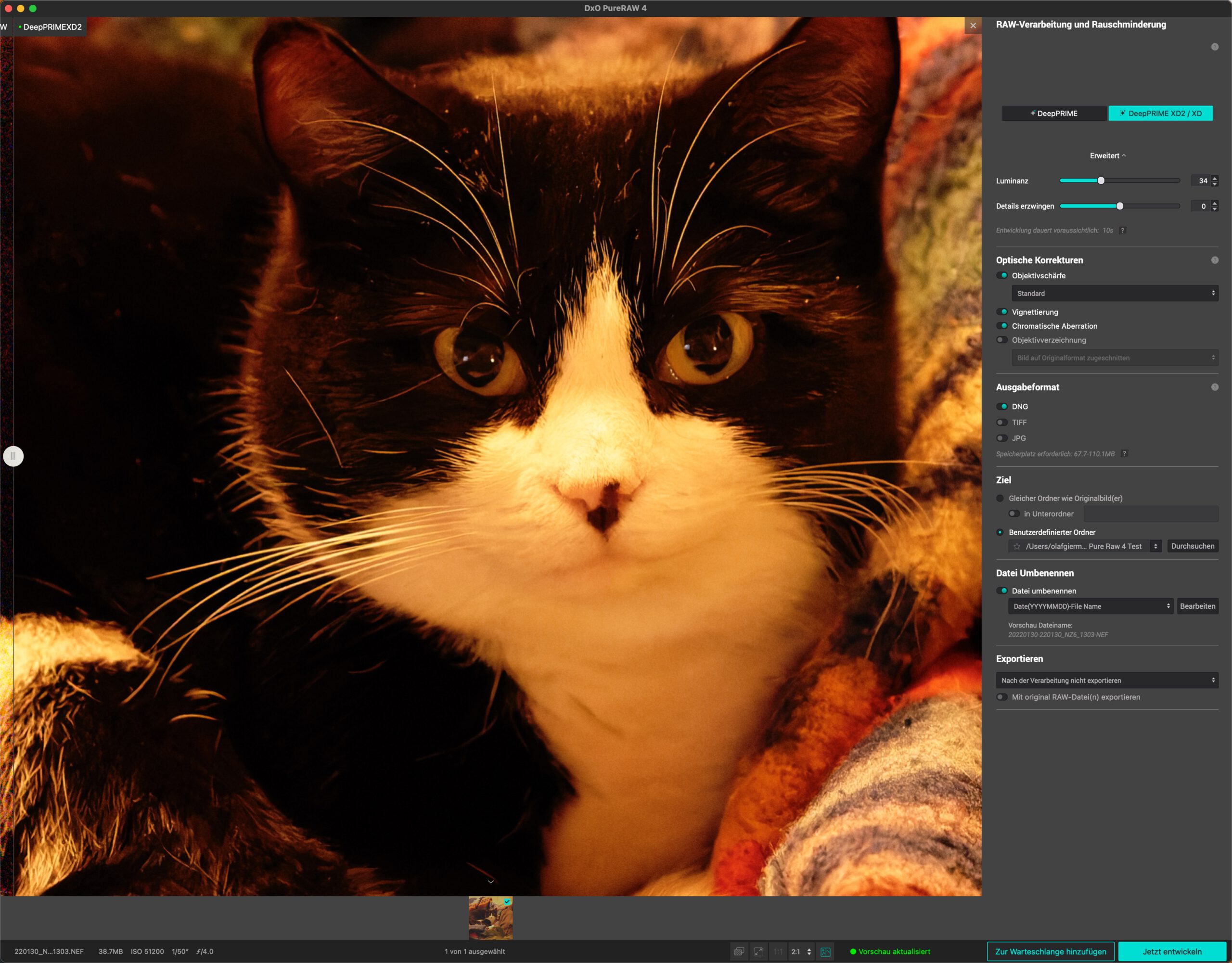 © Olaf Giermann, Z6 II ISO 51200 DeepPrime XD2. DxO PureRaw 4: KI-Entrauschen mit Vorschau