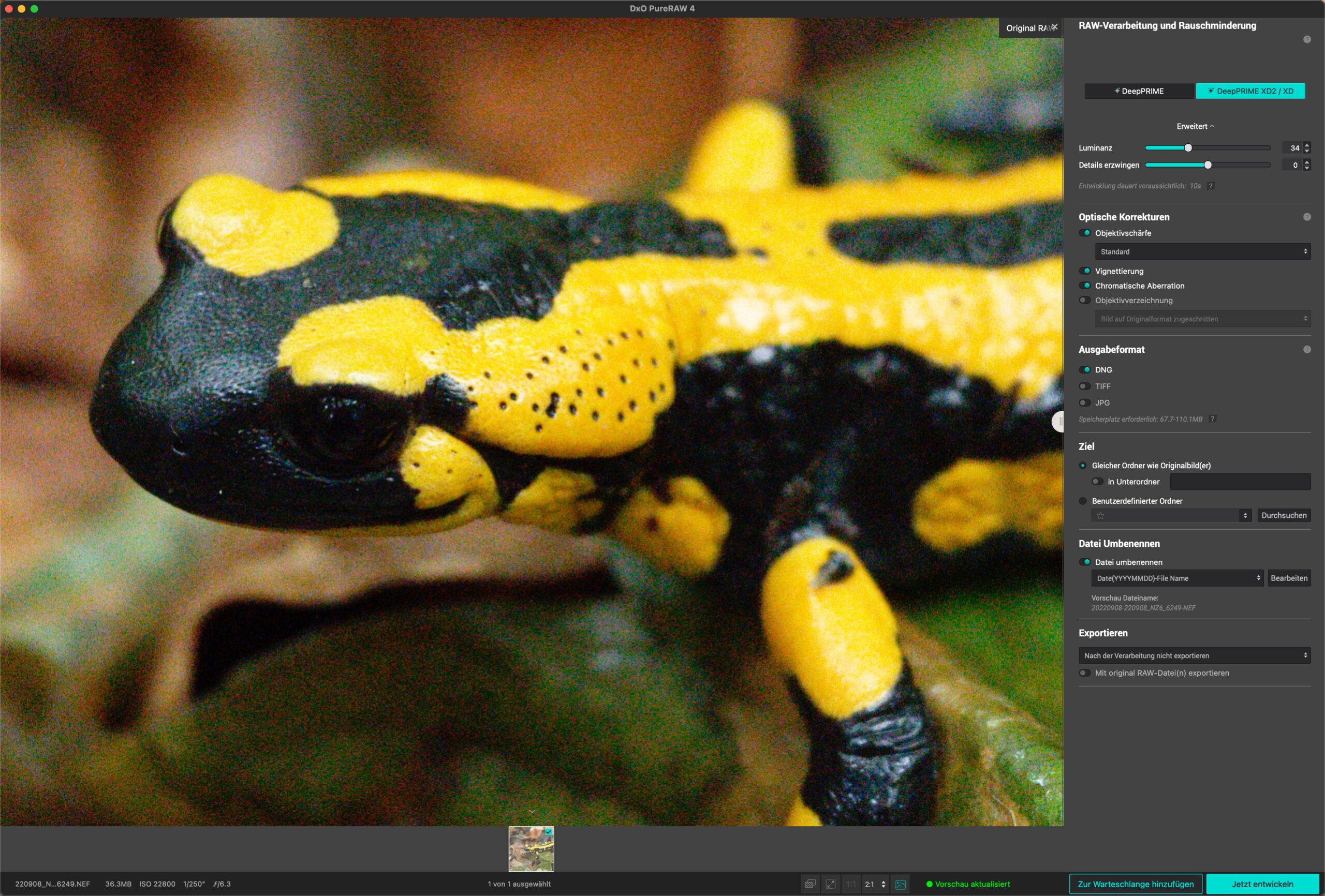 © Olaf Giermann, ISO 22800, Raw. DxO PureRaw 4: KI-Entrauschen mit Vorschau