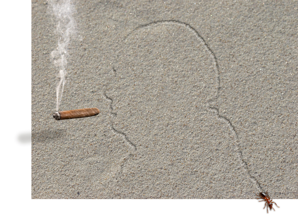 Mit dem Prompt »Professional photo, taken from above, a single ant crawling across a smooth sand surface, leaving a trail that looks like an outline drawing of Winston Churchill‘s head in profile« konnte keine der getesteten KIs etwas anfangen. Das Bild ließ sich also nur als Photoshop-Montage realisieren. Wie betrachten wir KI-generierte Bilder?