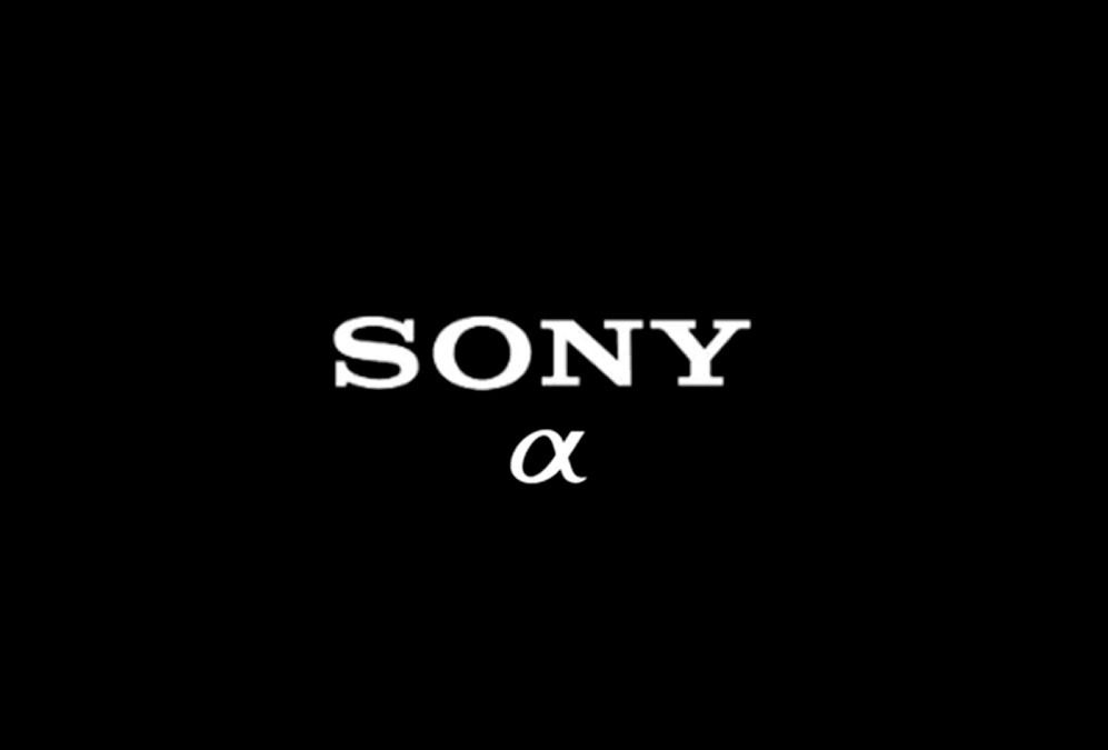 Firmware-Updates für Sony Alpha 1 und Alpha 9III
