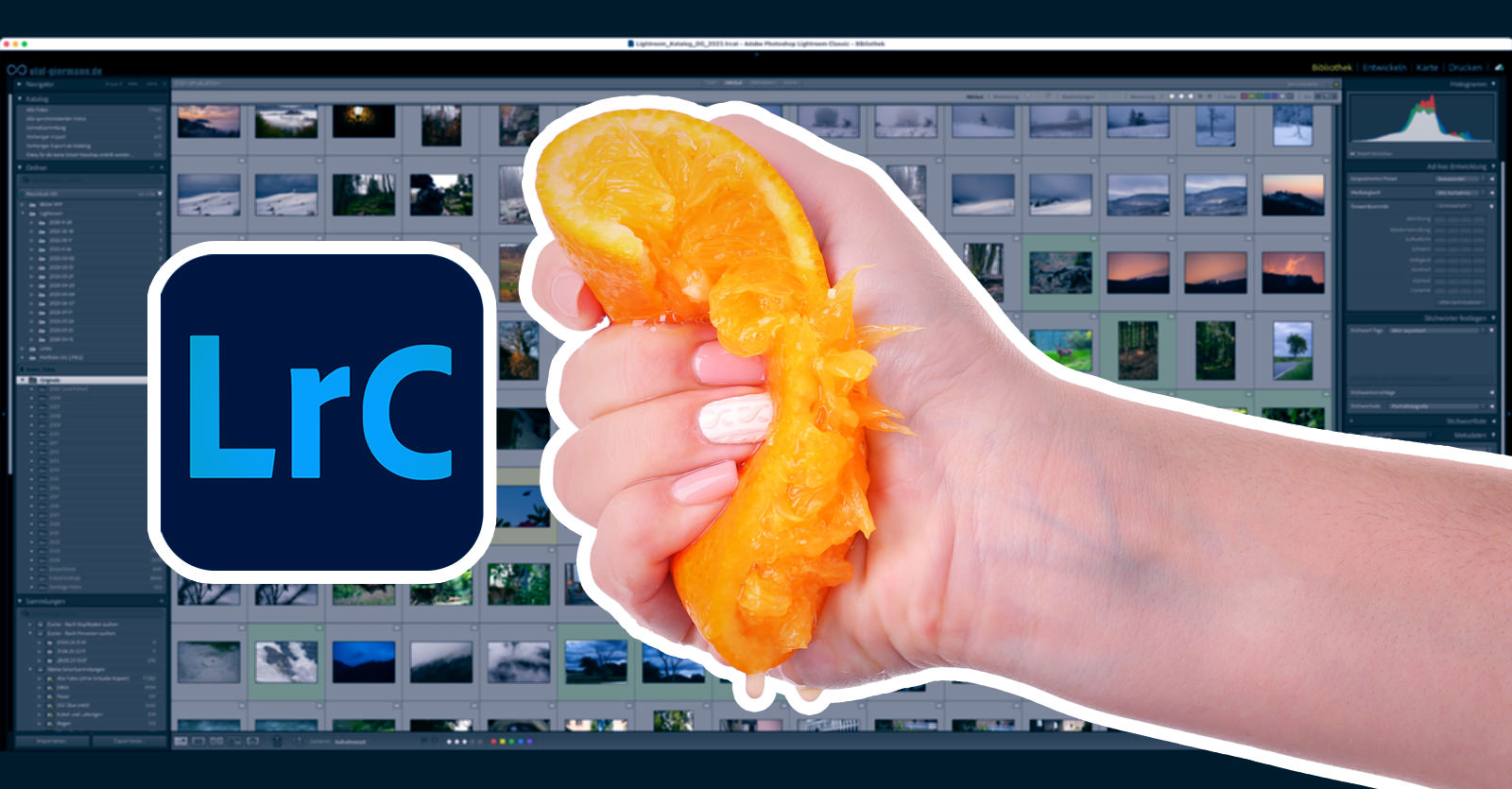 Das Ausquetschen einer Zitrusfrucht ist eher nicht verlustfrei. Das Löschen des Protokolls in Lightroom Classic dagegen schon – rein auf das Ergebnis bezogen. Foto: Africa Studio – Adobe Stock. Lightroom-Classic-Katalog verlustfrei verkleinern und beschleunigen