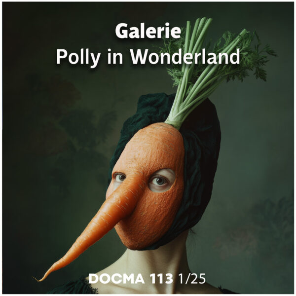 22-25-2go-Aufmacher113