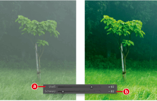 High five 3: Kontrast und Schärfeeindruck