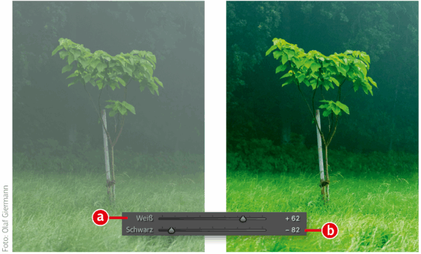 High five 3: Kontrast und Schärfeeindruck