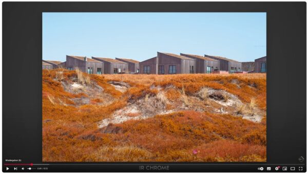 Infrarot-Fotografie: Erste Schritte