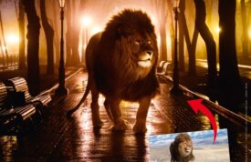 Fotomontagen auf Knopfdruck