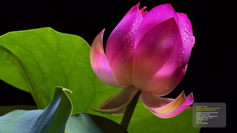 Seit dem iPhone 16 Pro haben auch endlich die Makros eine bessere Auflösung.