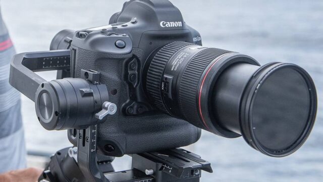 Letzter Vorhang für Canons Profi-DSLRs