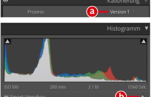 Kalibrierung in Camera Raw und Lightroom: Die Prozessversion