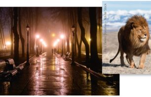 KI-Fotomontage: Workflow am Beispiel des Titelbildes