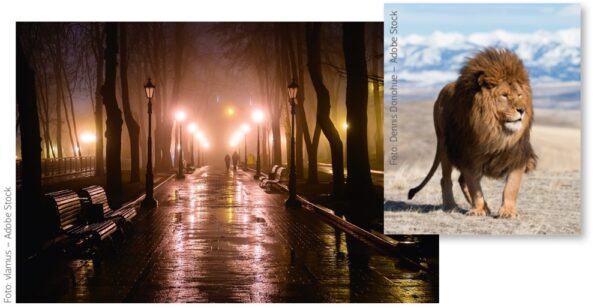 KI-Fotomontage: Workflow am Beispiel des Titelbildes