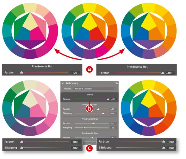 Kalibrierung in Camera Raw und Lightroom: Das Bedienfeld