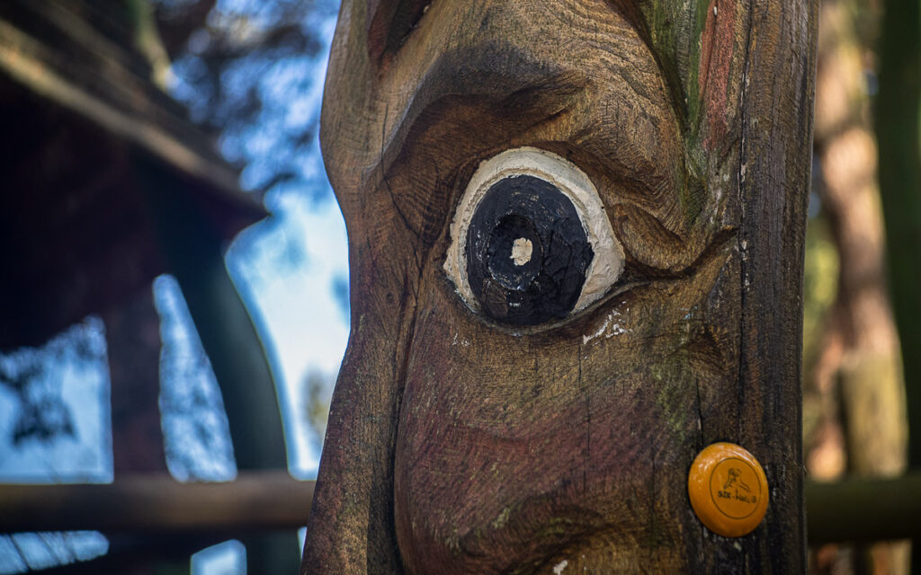 Pentaka 8 und Sonnar 40/2.8