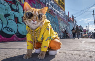 Midjourney 7 – das Comeback des kreativen Bildgenerators