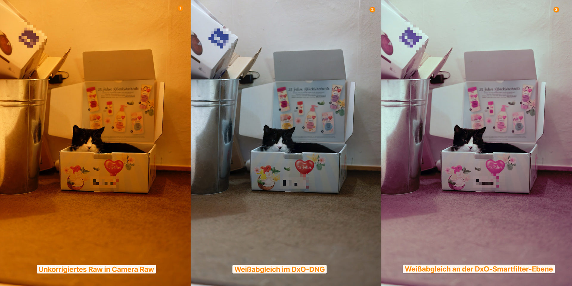 Links sehen Sie das umkorrigierte Raw. In der Mitte ein mit PureRaw exportiertes DNG mit einem Weißabgleich auf die Wand im Hintergrund (korrekte Farben). Rechts sehen Sie das Resultat des Öffnens als Smartobjekt aus PureRaw heraus und dem anschließenden Anwenden von Camera Raw als Smartfilter (Weißabgleich falsch, da keine Raw-Daten zur Verfügung stehen).