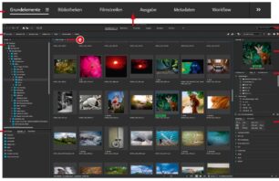 Die Standard-Benutzeroberfläche von Bridge im Überblick