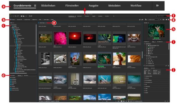 Die Standard-Benutzeroberfläche von Bridge im Überblick