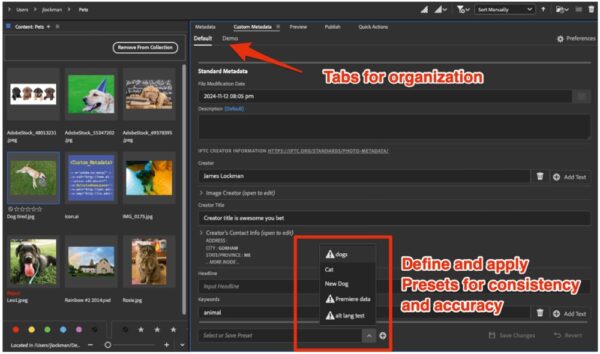 Custom Metadata Panel