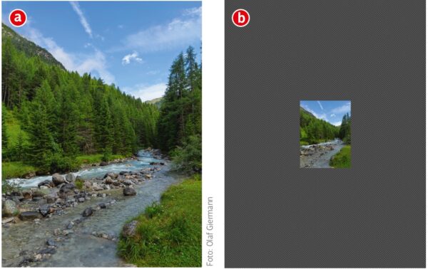 Vergleich der neuen Möglichkeiten von Generativ vergrößern