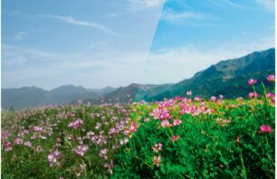 Frühlings-Presets für ON1 PhotoRaw