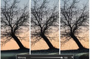 Quicktipp: Körnung