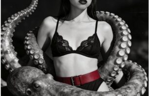 (Prompt-) Inspiration für Seedream 4.5