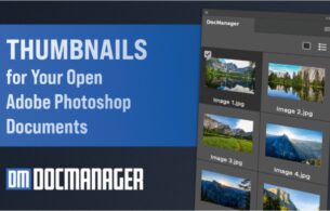 DocManager Lite