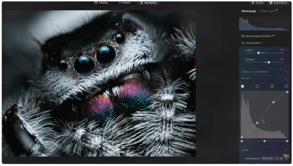 Focus Stacking in Luminar Neo