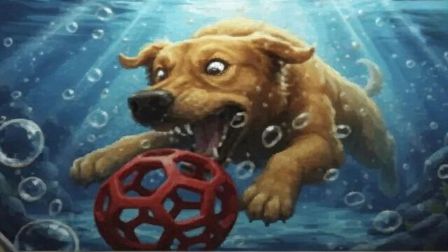 Urheberrechts-Schock: Wem gehört der Hund unter Wasser?