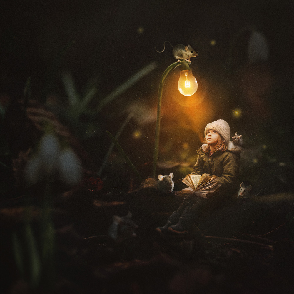 Lesestunde mit Freunden
Schneeglöckchen erinnern Daniela Führer an Lampen. Die Mäuse hat sich ihre Tochter gewünscht. Sie wurden mithilfe von Adobe Firefly generiert.
