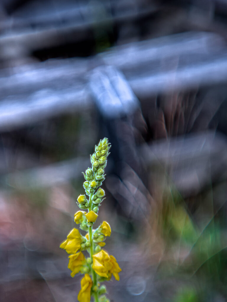 Oscillo 56/1.9 adaptieren